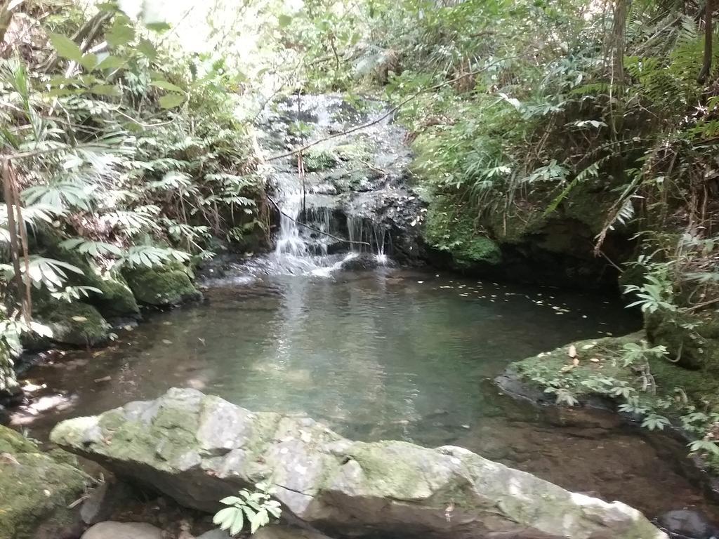 Victoria Valley Fern Ridge Hideaway 빌라 외부 사진